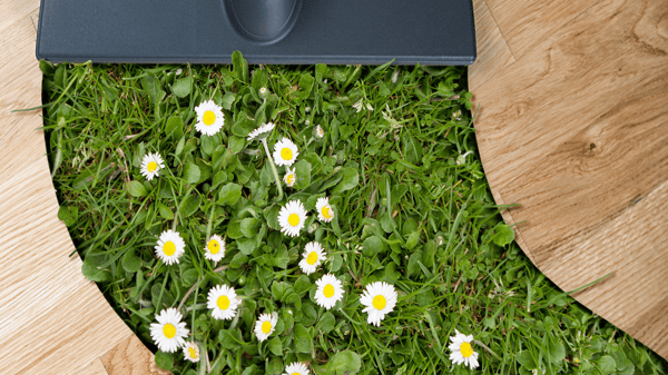 Spring Cleaning Your CRM: Refreshing Your Database for Success